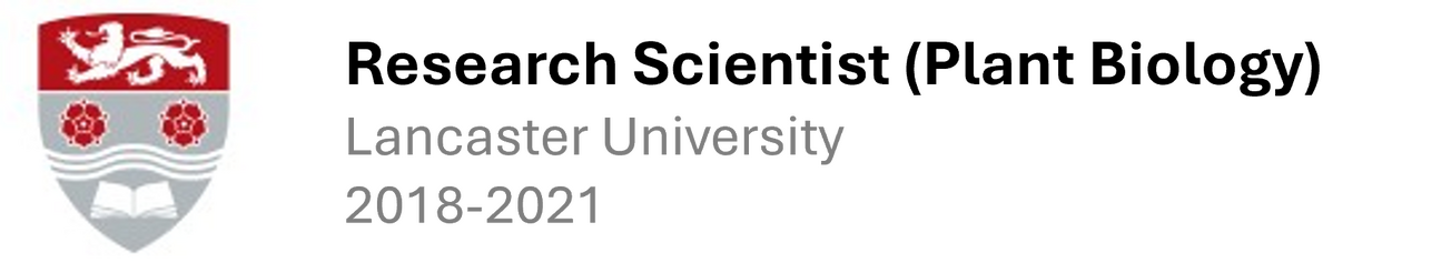 The University of Sheffield